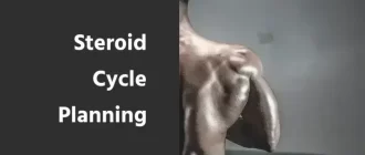 Steroid Cycle Planning