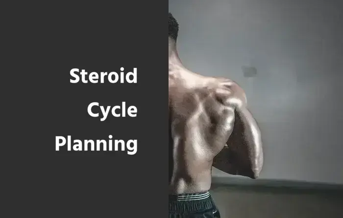 Steroid Cycle Planning