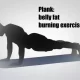 Exercise to burn belly fat fast after 50