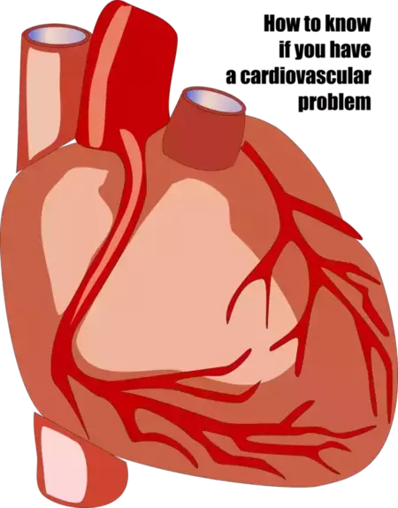 How to know if you have a cardiovascular problem