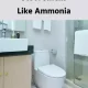 What Causes Stool Smells Like Ammonia
