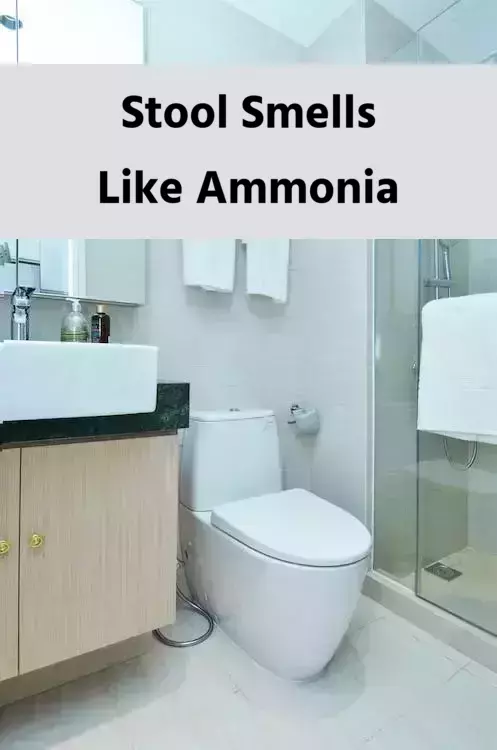 What Causes Stool Smells Like Ammonia