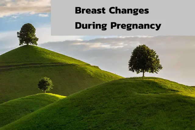 The 4 Breast Changes During Pregnancy