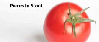 Red Tomato Skin Like Pieces In Your Stool