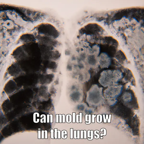 Can mold grow in the lungs?