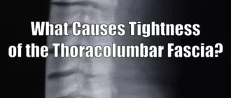 What Causes Tightness of the Thoracolumbar Fascia?