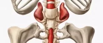 can your tailbone hurt if your constipated