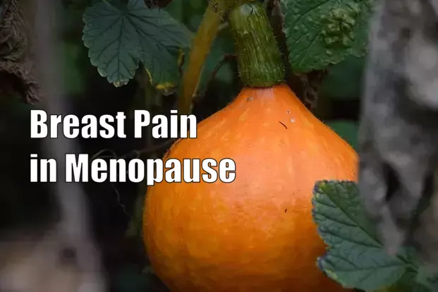 Breast Pain in Menopause