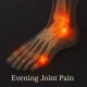 Anatomical illustration of right foot showing evening joint pain, with inflamed toe and ankle joints highlighted in red, representing conditions like arthritis, plantar fasciitis, and gout.