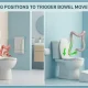Infographic comparing the standard sitting position versus the squatting position with a footstool to straighten the anorectal angle for faster bowel movements.