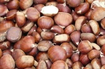 Are Chestnuts Good for You?