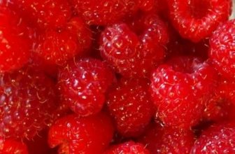 Frozen Raspberries!