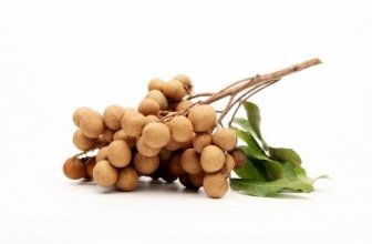 Longan Fruit Health Benefits