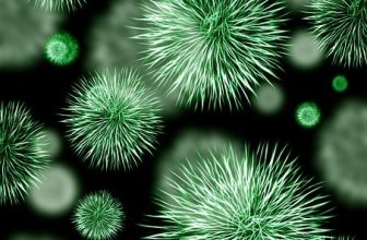 Why is My Urine Cloudy and Smelly?